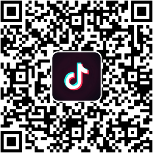 抖音小程序
